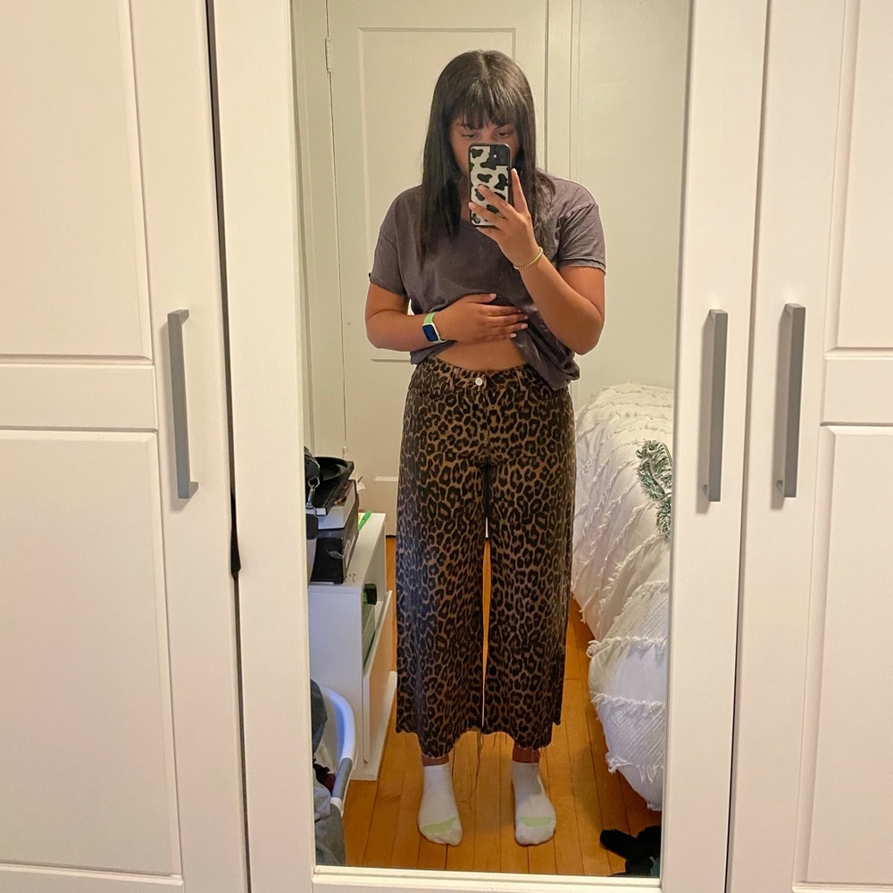 Zara leopard print pants